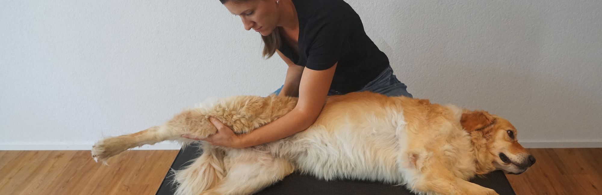 Behandlung